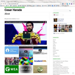 Cesar Harada, Website Screenshot